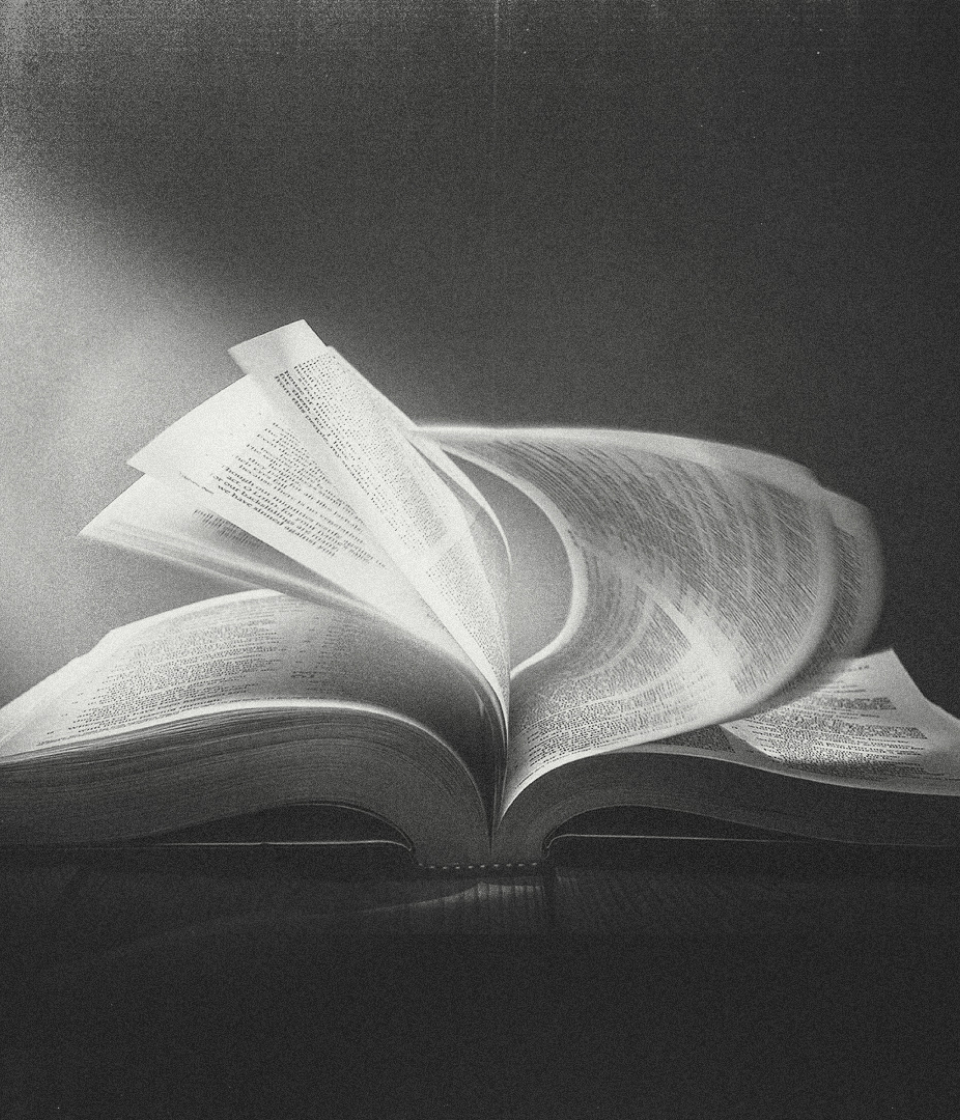 Rethinking Intelligence as Movement book Matthew kael